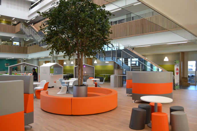 A real tree with seating underneath