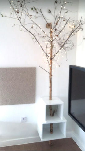 A real tree branch covered with fairy lights decorating a corner at Longstone Primary School Nursery