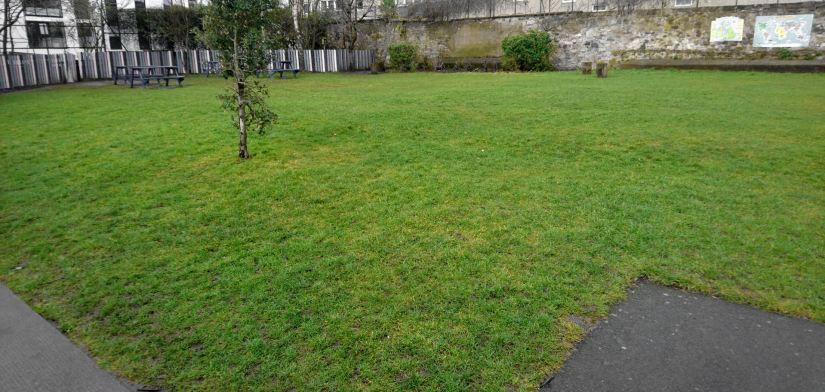 a grassy field bordered by a stone wall and fence