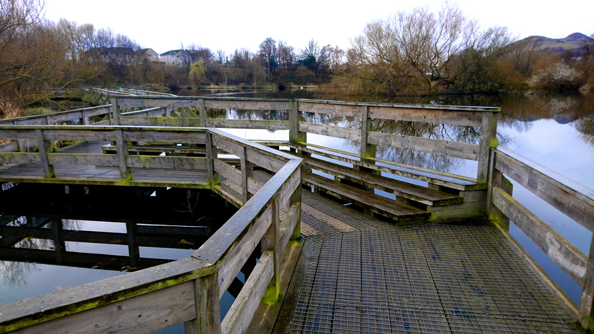 Figgate Park, Edinburgh. A wooden boardwalk goes over a lake surrounded by trees