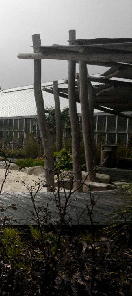 a sheltered wooden structure made from tree trunks