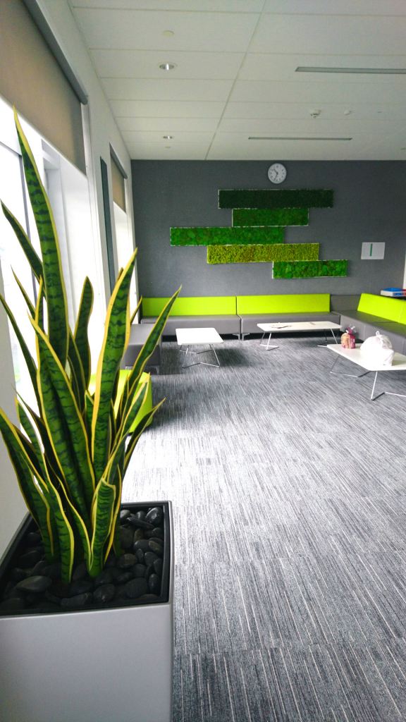 The staff room is grey with pops of greens, a plant is in the foreground
