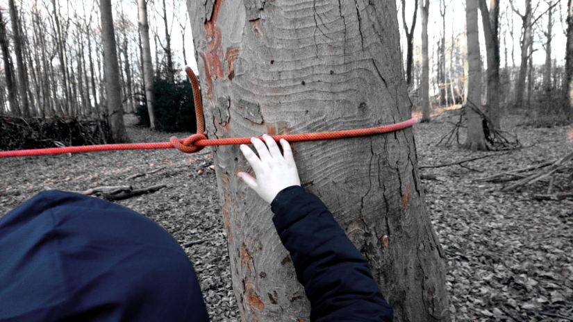 a child ties a rope around a tree