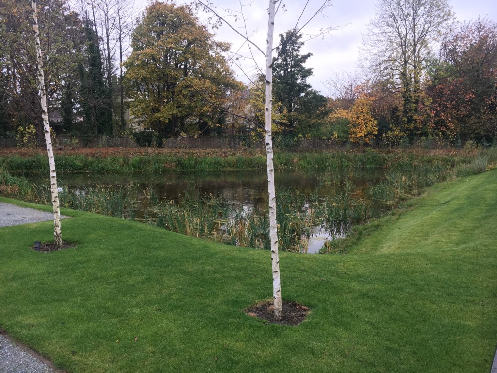 A triangular pond surrounded by trees and wetland grasses